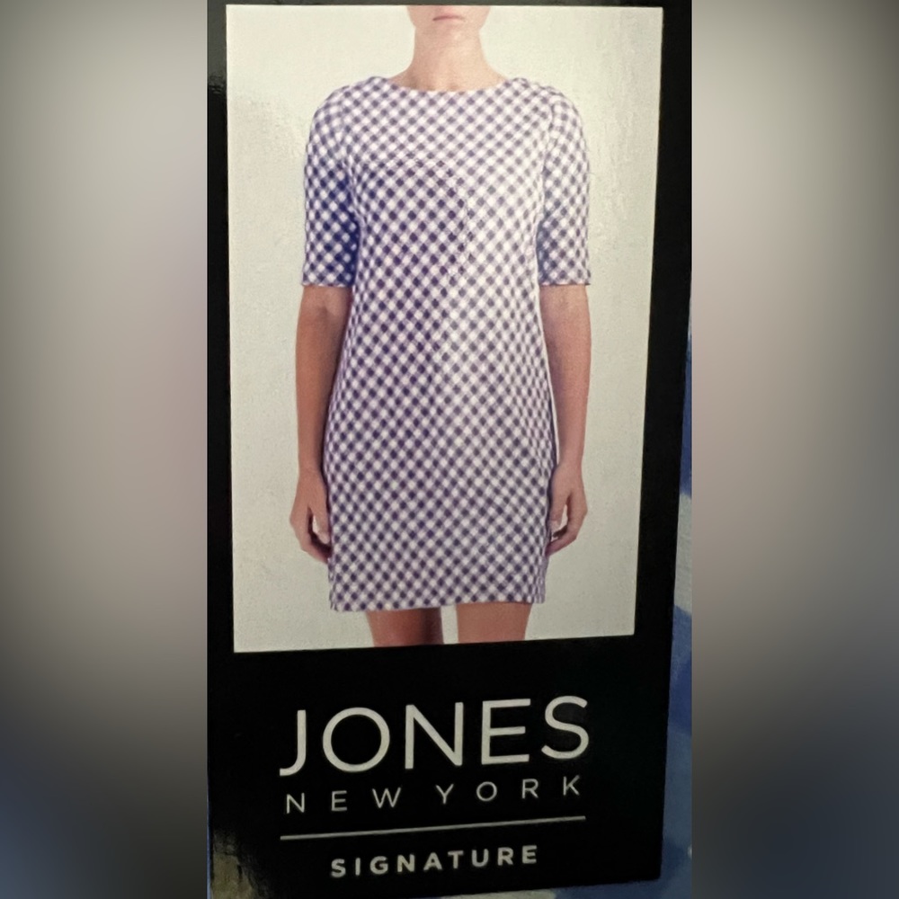 NWT Jones New York Womens amparo blue nyc white  checked striped  Dress Size L